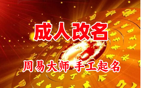 保定市成人改名-找大师一对一改名先分析后改名